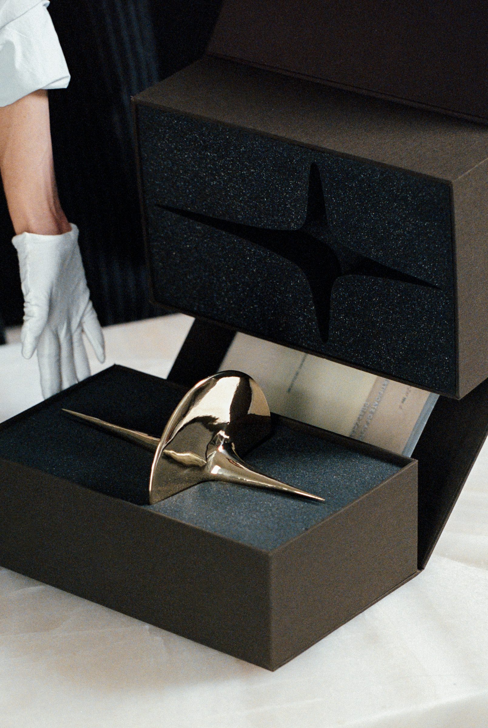 Harmonic Oscillator I, art by Pilar Zeta, polished bronze, 2026. Photo: Alberto Pinto Mora
