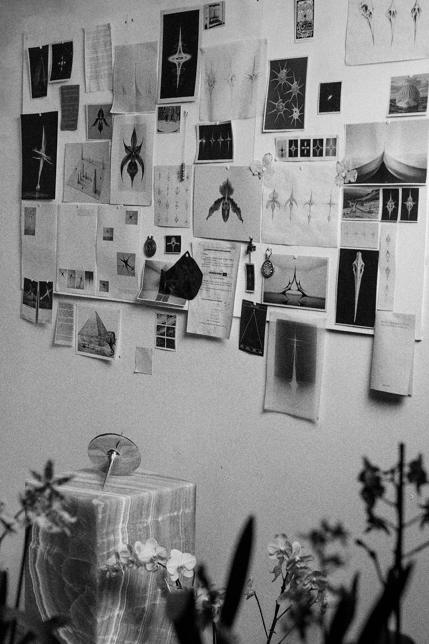 Pilar Zeta in her studio with Harmonic Oscillators, 2026